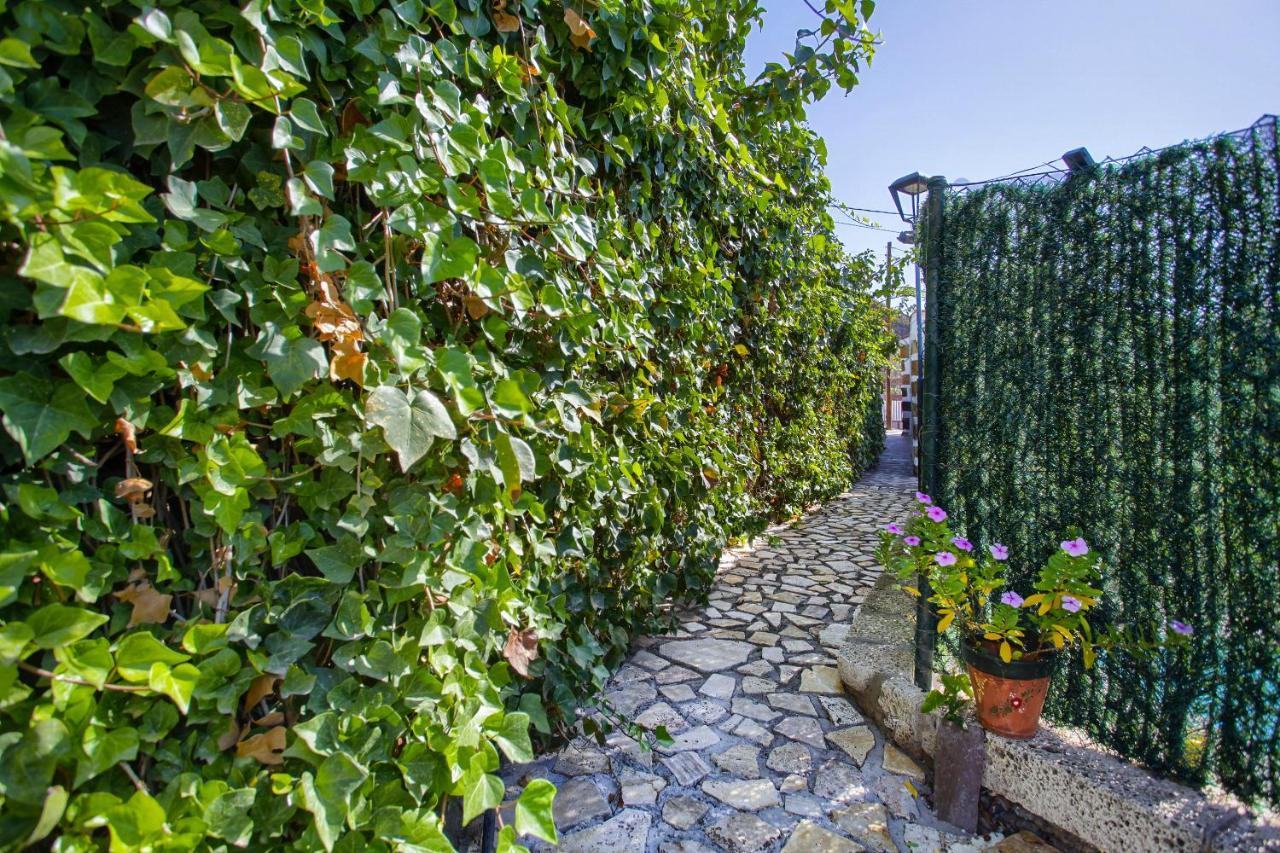 Romantic Hamlet Cottage With Private Pool La Fragua De Eliseo Candelaria Dış mekan fotoğraf